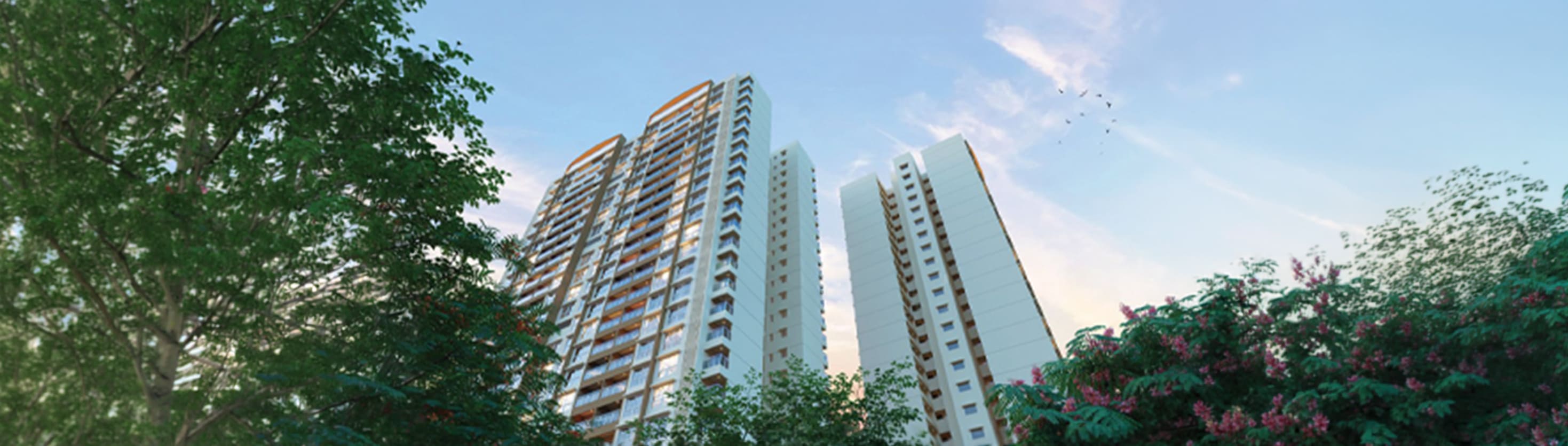 Banner 2